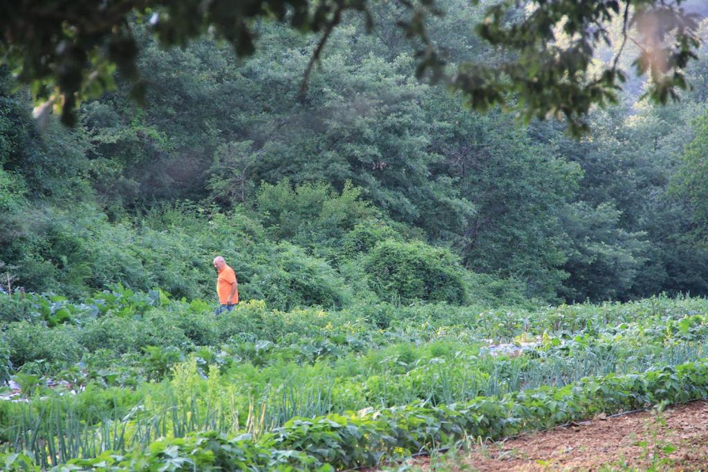 Bio Agriturismo Aia Del Tufo Sorano  Εξωτερικό φωτογραφία